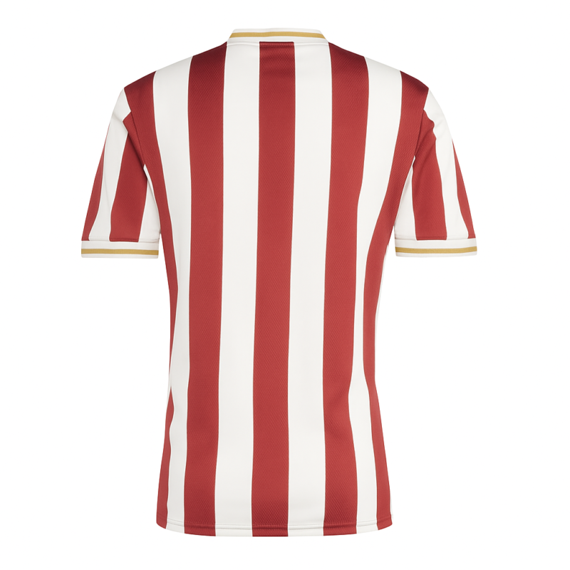 FC Nürnberg Unveil Special Edition 125-Year Anniversary Jersey - Image 2